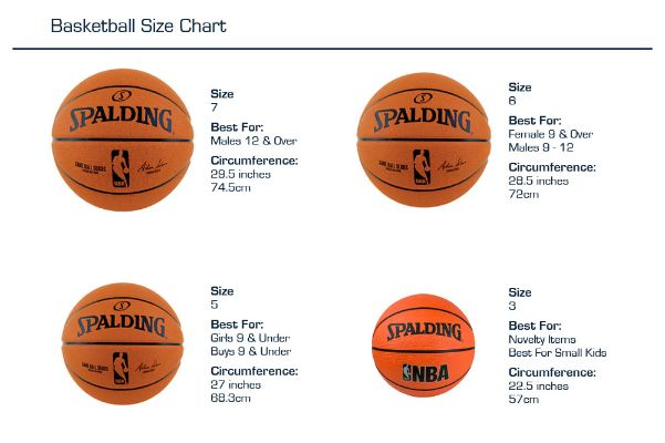 篮球尺寸型号详解，让你轻松选购合适的篮球-第2张图片-www.211178.com_果博福布斯